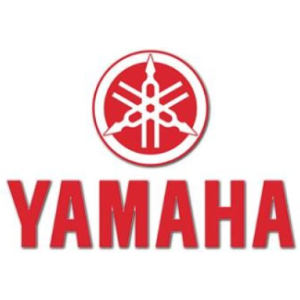 Yamaha YZF-R3 & MT-03 ENGINE COVER SET 2015-21