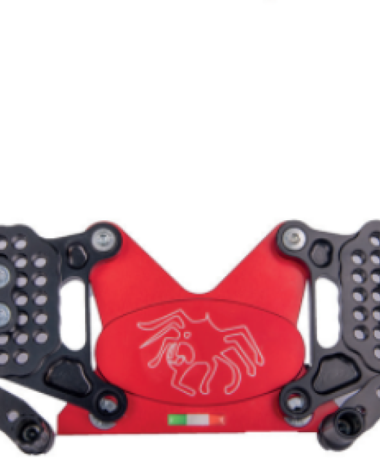 Spider Rearset Kawasaki ZX6R 09+