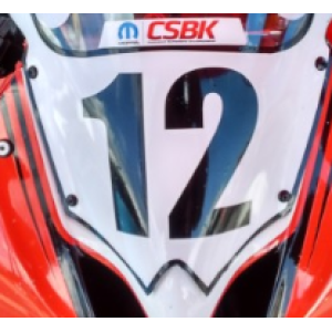 Vinyl Bike Numbers 6 "